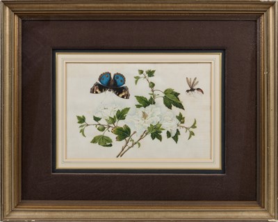 Lot 81 - CHINESE SCHOOL, TWELVE EXPORT PAINTINGS OF BUTTERFLIES AND FLOWERS