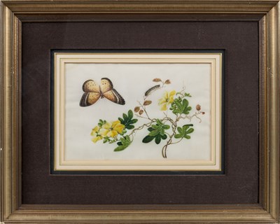 Lot 81 - CHINESE SCHOOL, TWELVE EXPORT PAINTINGS OF BUTTERFLIES AND FLOWERS