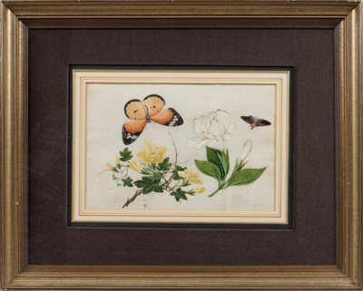 Lot 81 - CHINESE SCHOOL, TWELVE EXPORT PAINTINGS OF BUTTERFLIES AND FLOWERS