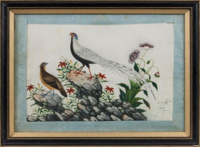 Lot 85 - CHINESE SCHOOL, TEN EXPORT PAINTINGS OF BIRDS