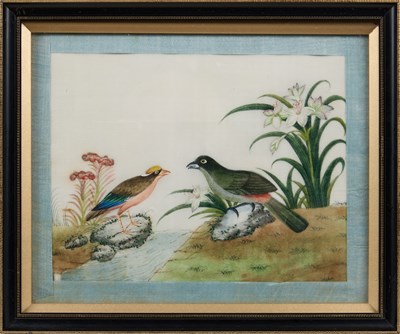 Lot 85 - CHINESE SCHOOL, TEN EXPORT PAINTINGS OF BIRDS