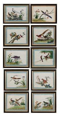 Lot 85 - CHINESE SCHOOL, TEN EXPORT PAINTINGS OF BIRDS