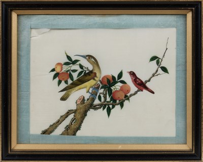 Lot 85 - CHINESE SCHOOL, TEN EXPORT PAINTINGS OF BIRDS