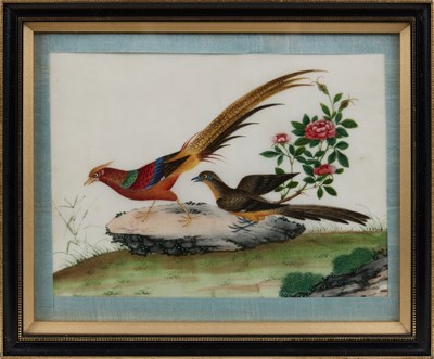 Lot 85 - CHINESE SCHOOL, TEN EXPORT PAINTINGS OF BIRDS