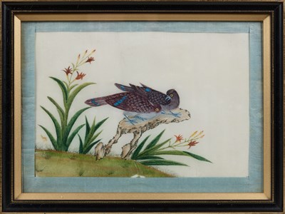 Lot 85 - CHINESE SCHOOL, TEN EXPORT PAINTINGS OF BIRDS