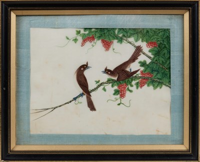 Lot 85 - CHINESE SCHOOL, TEN EXPORT PAINTINGS OF BIRDS