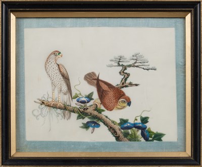 Lot 85 - CHINESE SCHOOL, TEN EXPORT PAINTINGS OF BIRDS