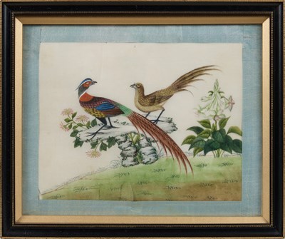 Lot 85 - CHINESE SCHOOL, TEN EXPORT PAINTINGS OF BIRDS