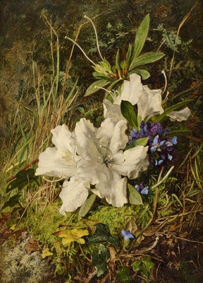 Lot 14 - ANNIE FERAY MUTRIE (BRITISH 1826-1893)