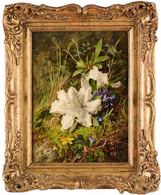 Lot 14 - ANNIE FERAY MUTRIE (BRITISH 1826-1893)