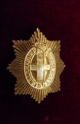 Lot 138 - A CAVALRY TROOPER'S HELMET PLATE