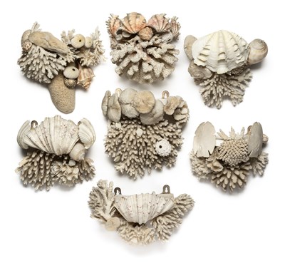 Lot 125 - A SET OF SEVEN CORAL AND SHELL WALL BRACKETS, RUPERT BEVAN LTD., LONDON, 1996